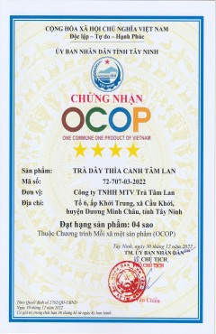 Trà dây thìa canh Tâm Lan Nhận Chứng nhận OCOP 4 sao